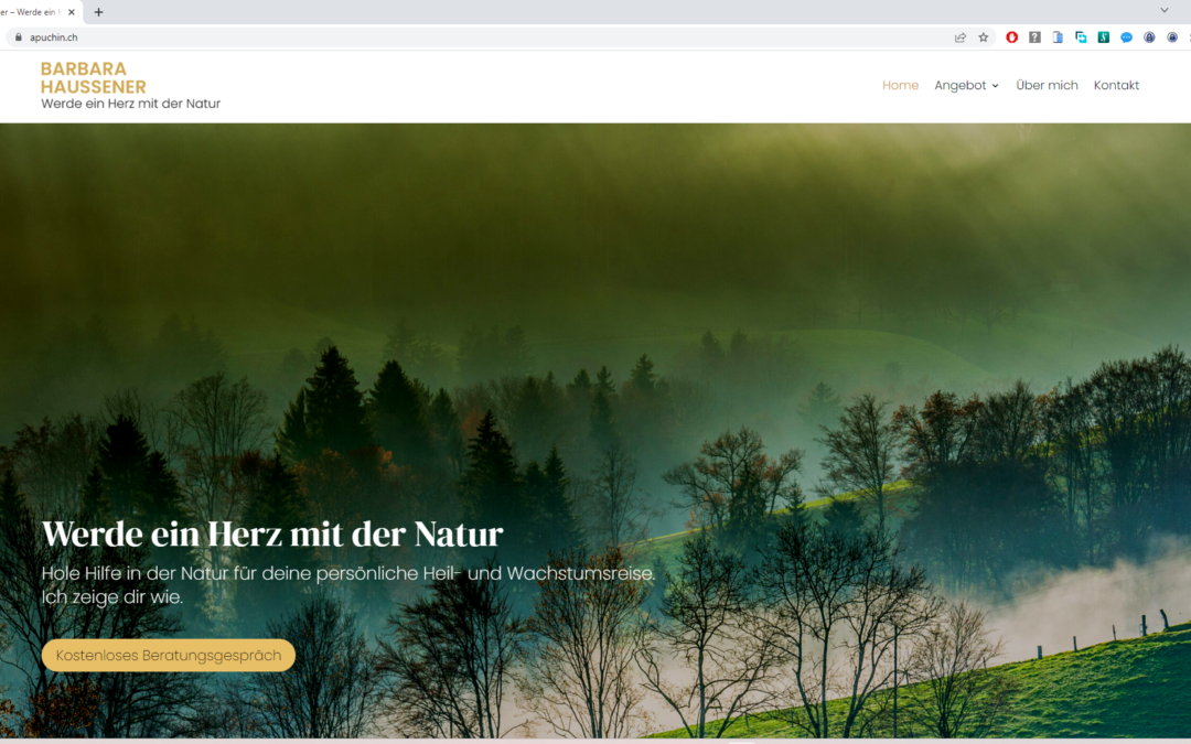 Website apuchin.ch